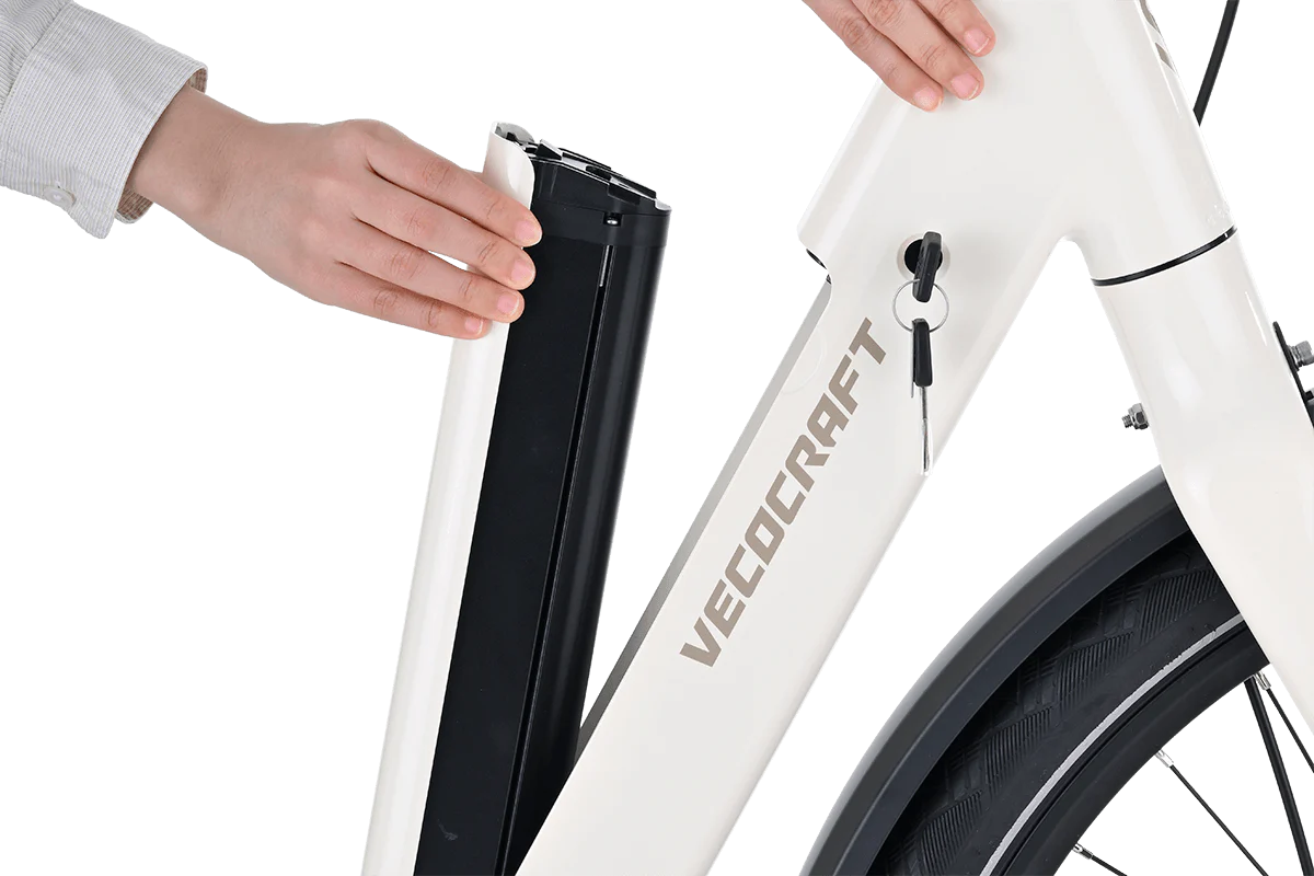Vecocraft LUNA - Image 5